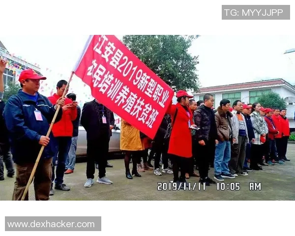 南京排球队的拼搏历程与荣耀时刻全景纪实